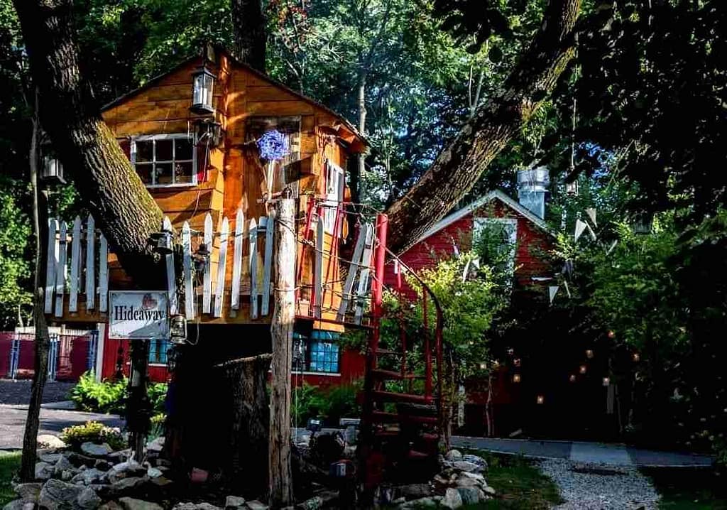 Tree House Tavern : Menu, Photo